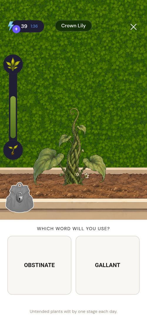 Growing a Crown Lily in the garden by choosing between two words